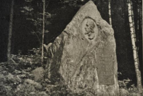 Hf_1082 Hf_1082