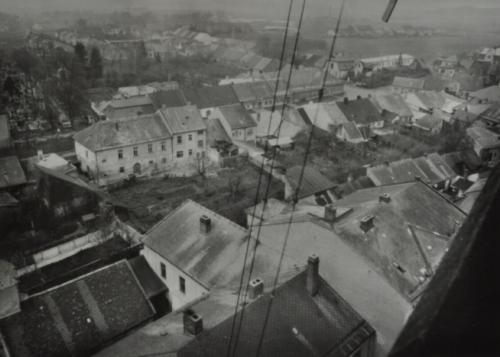 Hf_1317 Hf_1317